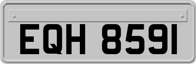 EQH8591