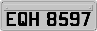 EQH8597