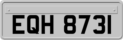 EQH8731