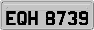 EQH8739