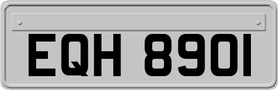 EQH8901