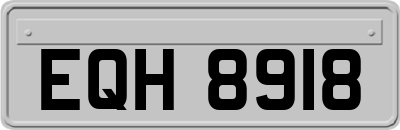 EQH8918