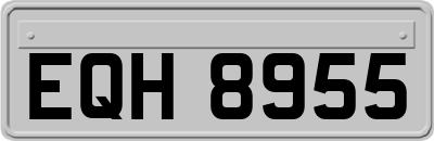 EQH8955