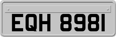 EQH8981