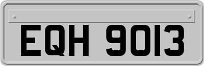 EQH9013