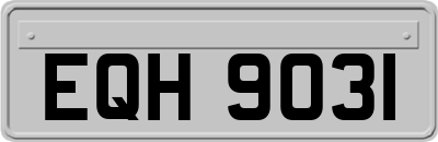 EQH9031