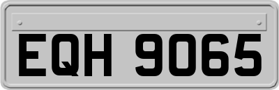 EQH9065