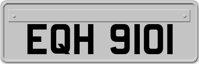 EQH9101