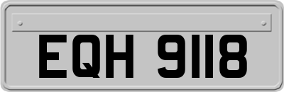 EQH9118
