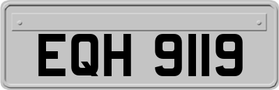 EQH9119