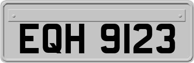 EQH9123