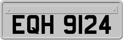 EQH9124
