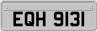 EQH9131