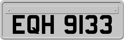 EQH9133