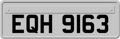 EQH9163