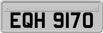 EQH9170