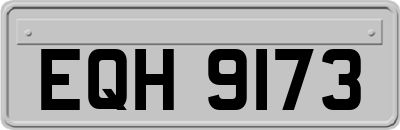 EQH9173
