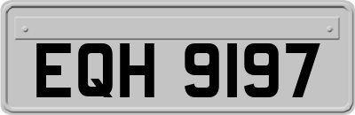 EQH9197