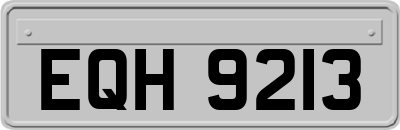 EQH9213