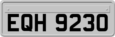 EQH9230
