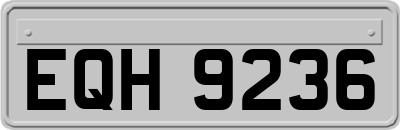 EQH9236