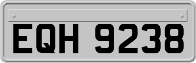 EQH9238