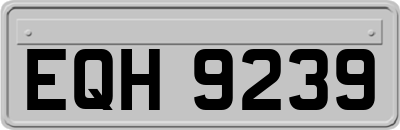 EQH9239