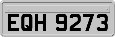 EQH9273