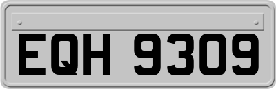 EQH9309