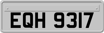 EQH9317