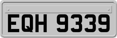 EQH9339