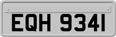 EQH9341