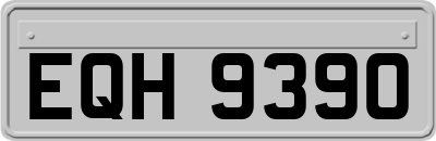 EQH9390