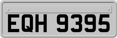 EQH9395