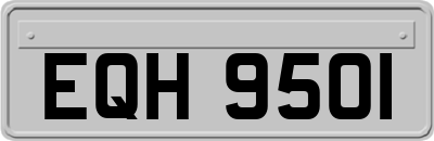 EQH9501