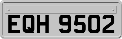 EQH9502