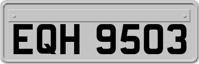 EQH9503
