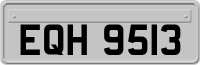EQH9513