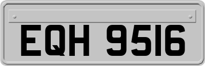 EQH9516
