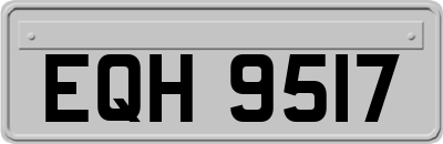 EQH9517