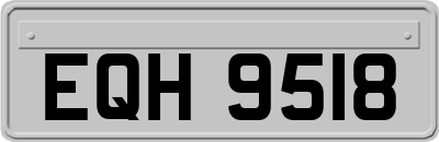 EQH9518
