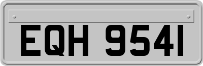 EQH9541