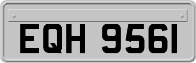 EQH9561