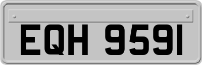 EQH9591