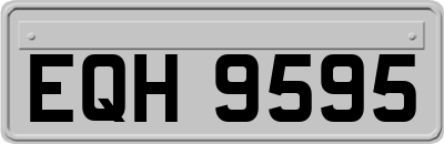EQH9595