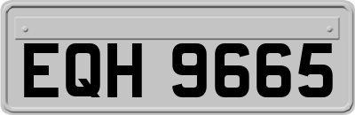EQH9665