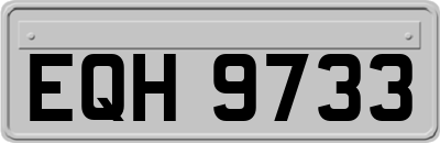 EQH9733
