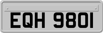 EQH9801