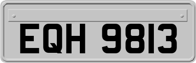 EQH9813