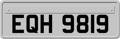 EQH9819